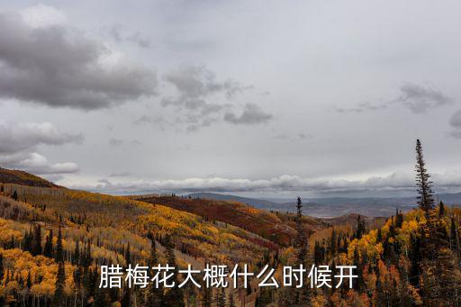 臘梅花期，臘梅花大概什么時候開