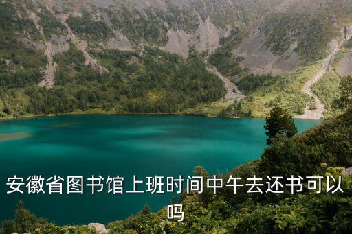 安徽省圖書館上班時間中午去還書可以嗎