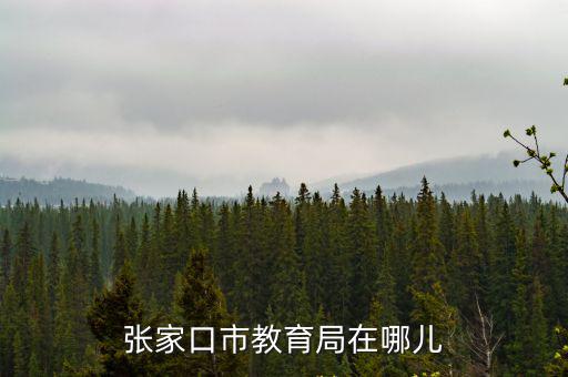 張家口市教育局在哪兒