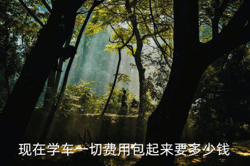 學(xué)車(chē)要多少錢(qián)，目前學(xué)車(chē)價(jià)格多少錢(qián)