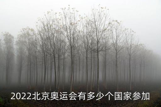 2022北京奧運會有多少個國家參加