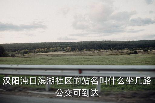 漢陽沌口濱湖社區的站名叫什么坐幾路公交可到達