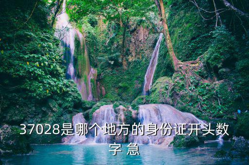 身份證開頭數字，37028是哪個地方的身份證開頭數字 急