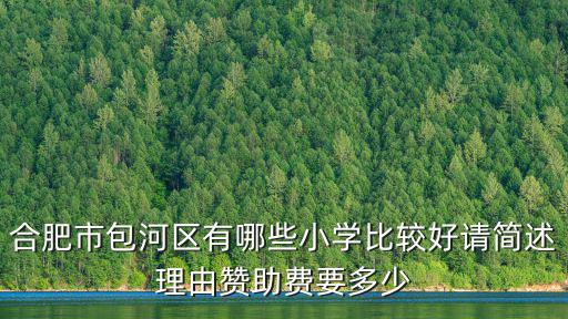 合肥市包河區(qū)有哪些小學(xué)比較好請簡述理由贊助費(fèi)要多少