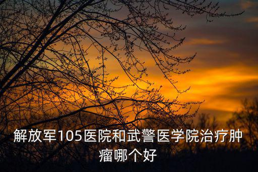 解放軍105醫(yī)院和武警醫(yī)學(xué)院治療腫瘤哪個好