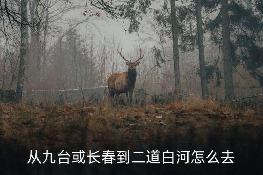 長(zhǎng)春到二道白河，從九臺(tái)或長(zhǎng)春到二道白河怎么去