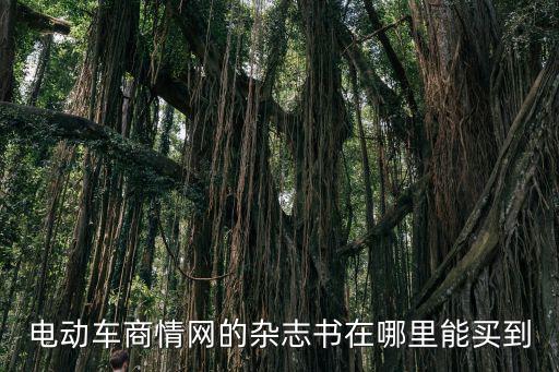 電動(dòng)車商情網(wǎng)的雜志書(shū)在哪里能買到