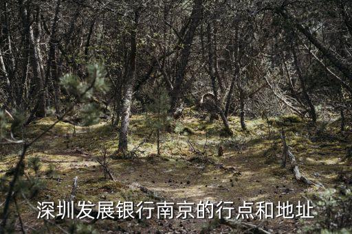 深圳發展銀行地址，深圳市白石龍地鐵站附近的深發展銀行在哪