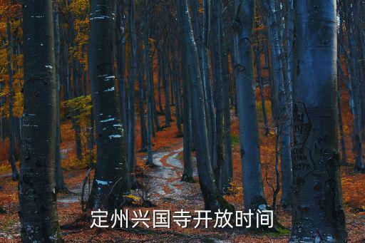 興國寺，定州興國寺開放時間