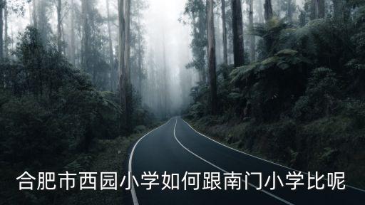 合肥市西園小學如何跟南門小學比呢