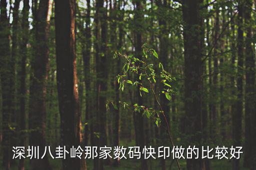 深圳八卦嶺那家數碼快印做的比較好