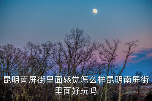 昆明南屏街里面感覺怎么樣昆明南屏街里面好玩嗎