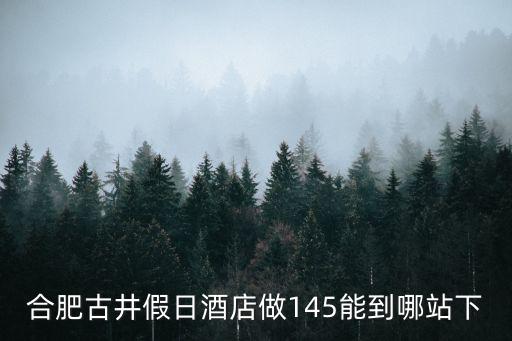 合肥古井假日酒店做145能到哪站下