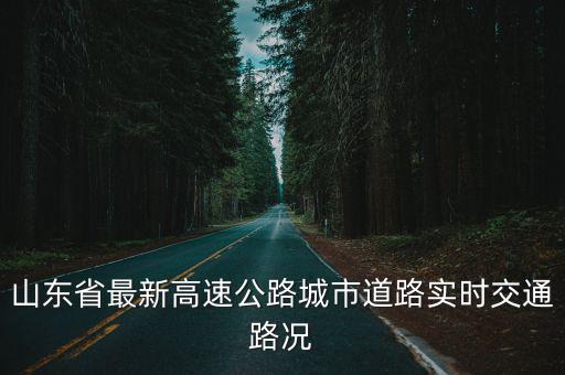 山東省最新高速公路城市道路實(shí)時(shí)交通路況