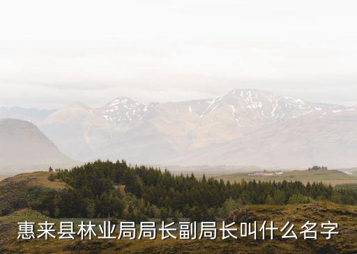 高材林，惠來(lái)縣林業(yè)局局長(zhǎng)副局長(zhǎng)叫什么名字