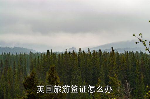 英國旅游簽證怎么辦