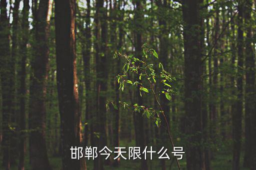 河北邯鄲限號，邯鄲市內(nèi)限車牌號嗎如果限號每天限什么號