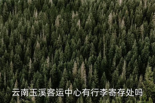 云南玉溪客運中心有行李寄存處嗎
