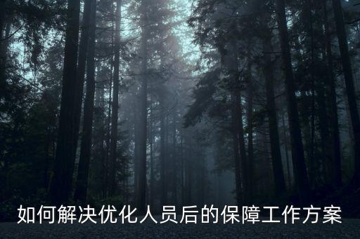如何解決優化人員后的保障工作方案