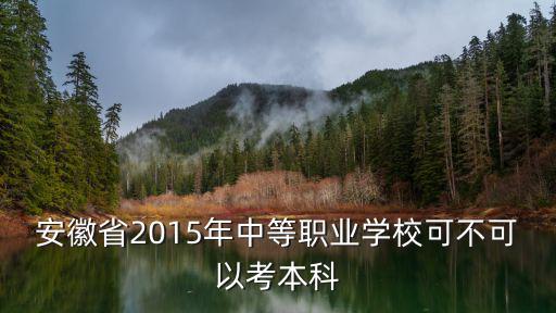 安徽省2015年中等職業(yè)學(xué)校可不可以考本科