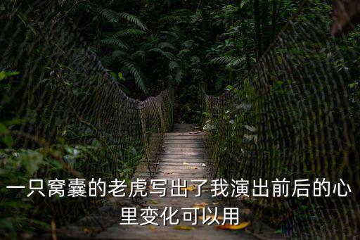 一只窩囊的老虎寫出了我演出前后的心里變化可以用