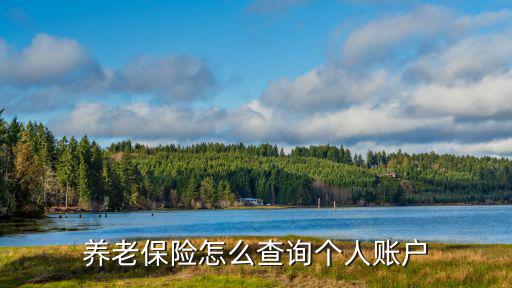 養(yǎng)老保險怎么查詢個人賬戶