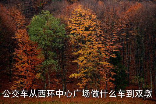 公交車從西環中心廣場做什么車到雙墩