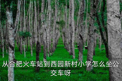 從合肥火車站到西園新村小學怎么坐公交車呀