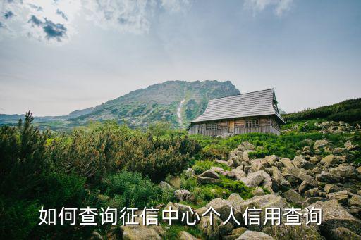 如何查詢征信中心個人信用查詢