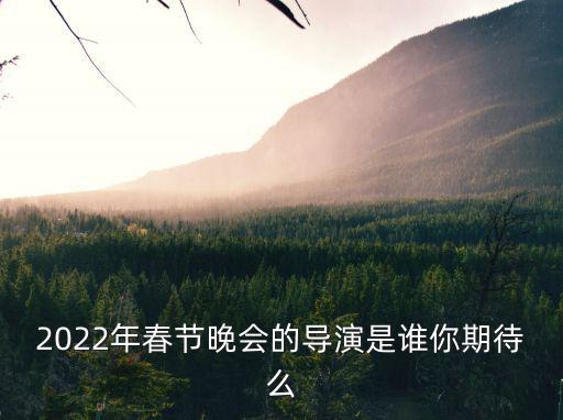 2022年春節晚會的導演是誰你期待么