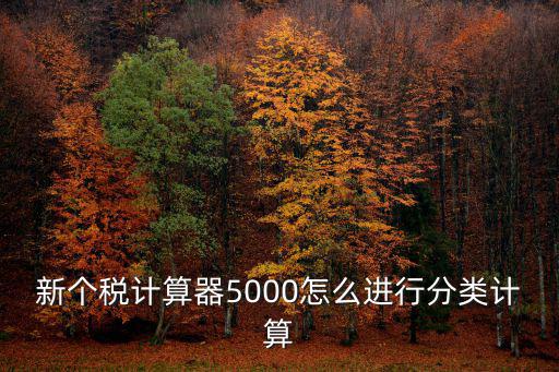 新個稅計算器5000怎么進行分類計算