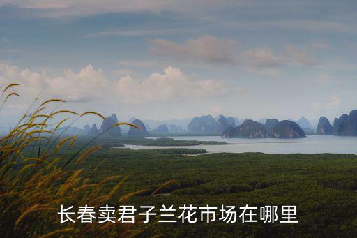 長春賣君子蘭花市場在哪里