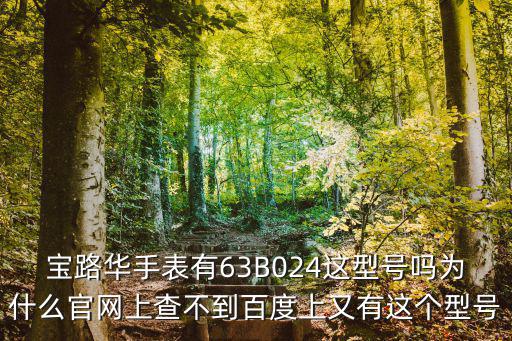 寶路華手表有63B024這型號(hào)嗎為什么官網(wǎng)上查不到百度上又有這個(gè)型號(hào)