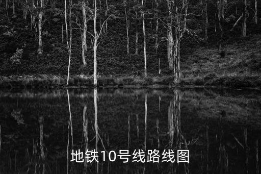 地鐵十號線線路圖，上海地鐵10號線線路圖