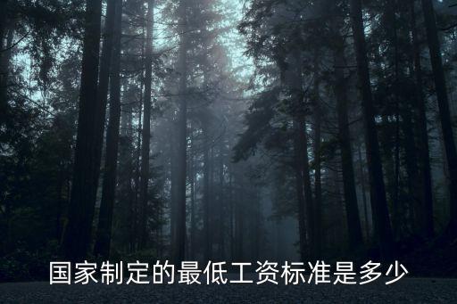 國家制定的最低工資標準是多少