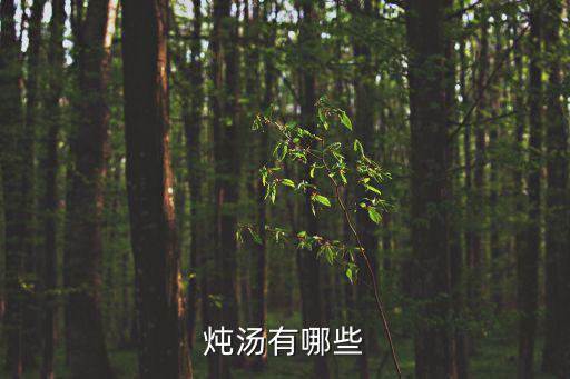 燉湯大全，有哪些食材可燉湯