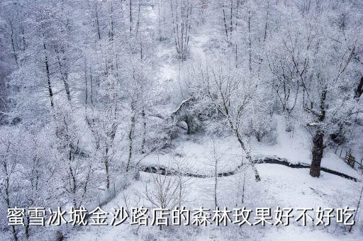 蜜雪冰城金沙路店的森林玫果好不好吃