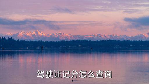 駕駛證記分怎么查詢