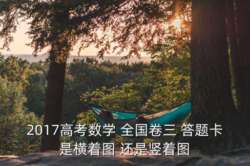 2017高考數學 全國卷三 答題卡是橫著圖 還是豎著圖