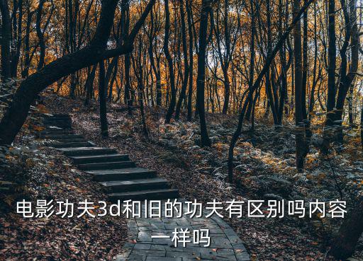 電影功夫3d和舊的功夫有區別嗎內容一樣嗎