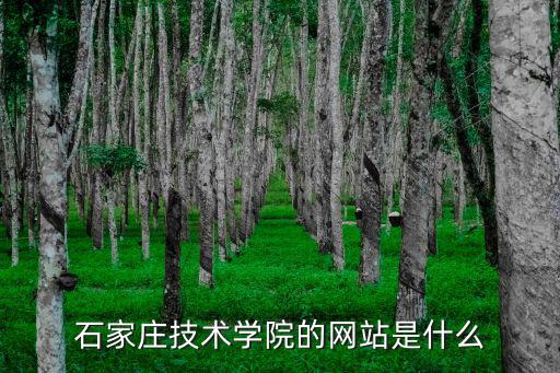 石家莊技術(shù)學(xué)院的網(wǎng)站是什么