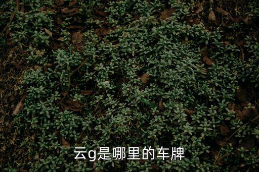 云g是哪里的車牌