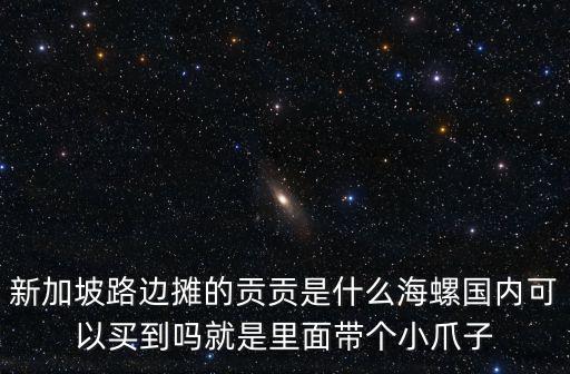 新加坡路邊攤的貢貢是什么海螺國內可以買到嗎就是里面帶個小爪子