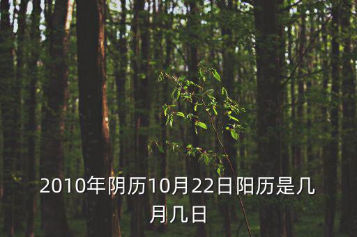 2010年陰歷10月22日陽歷是幾月幾日