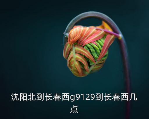 長春西，長春東和長春西哪個離興隆山近