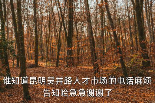 誰知道昆明吳井路人才市場的電話麻煩告知哈急急謝謝了