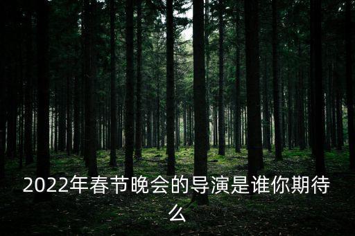央視春晚導演，春晚的總導演是誰