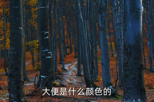 大便是什么顏色的
