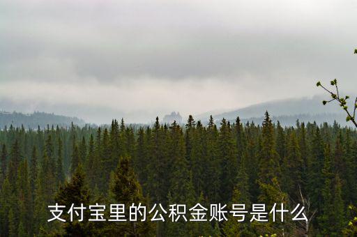 支付寶里的公積金賬號是什么