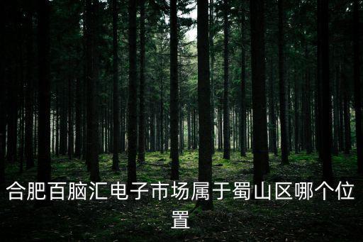 合肥百腦匯電子市場屬于蜀山區哪個位置